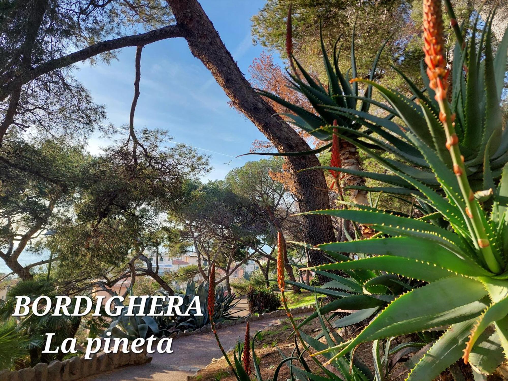 Emozioni Casa Vista Mare Bordighera Eksteriør bilde