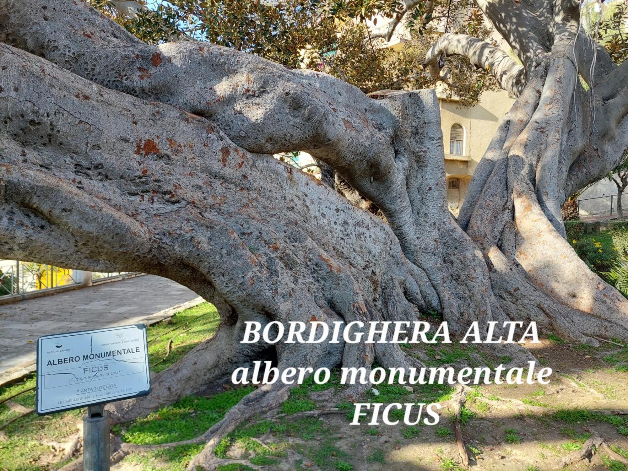 Emozioni Casa Vista Mare Bordighera Eksteriør bilde