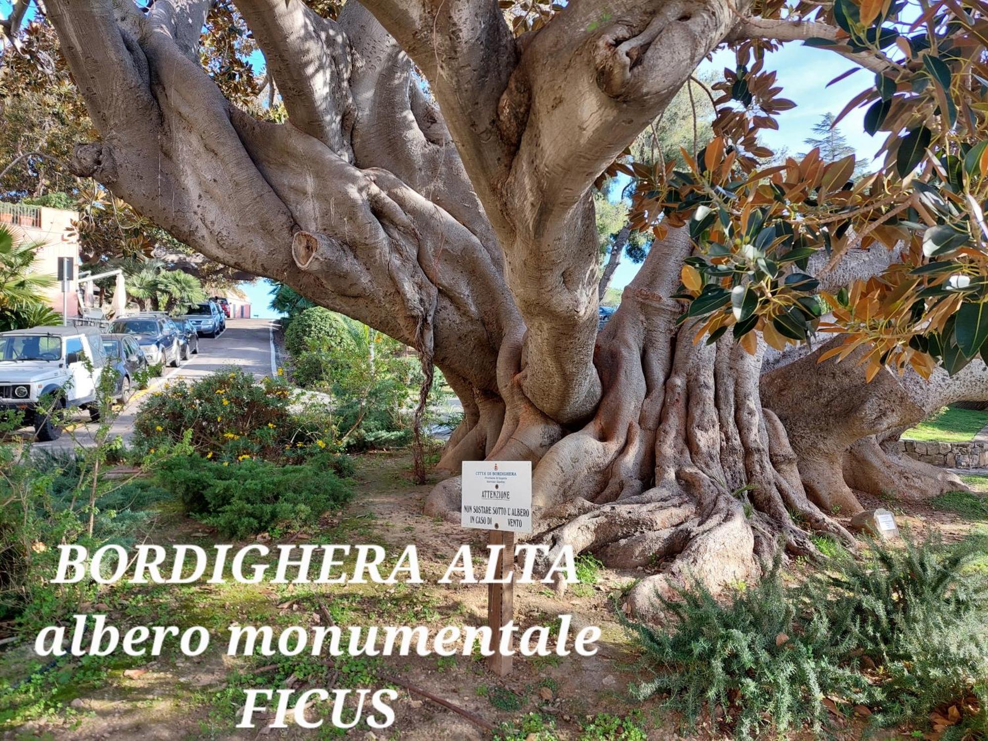 Emozioni Casa Vista Mare Bordighera Eksteriør bilde