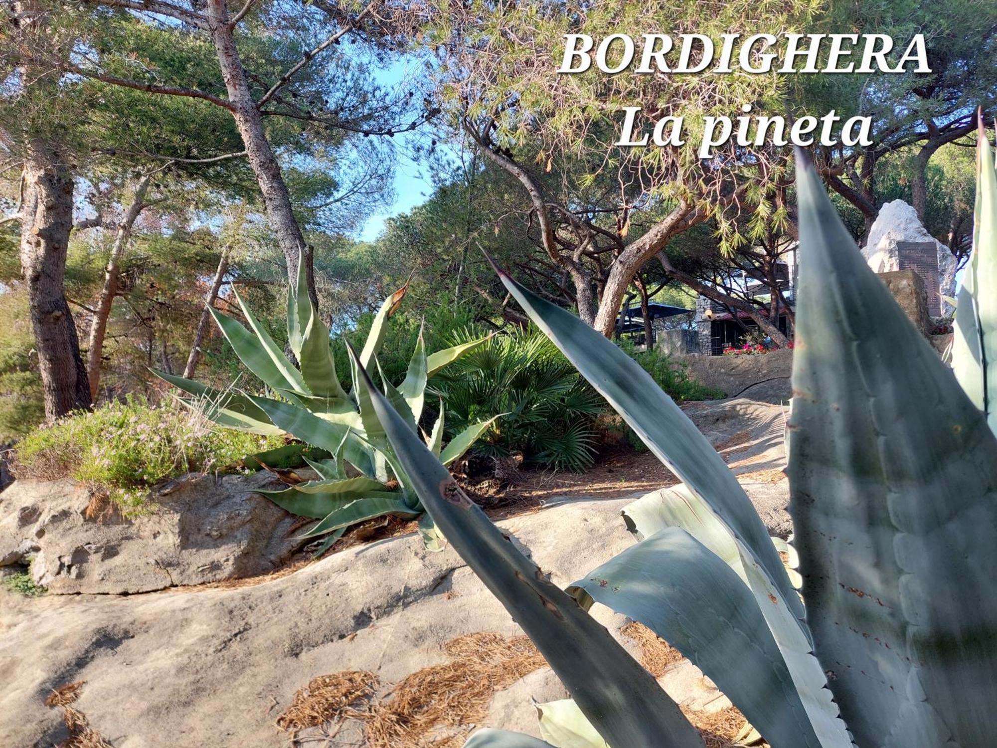 Emozioni Casa Vista Mare Bordighera Eksteriør bilde